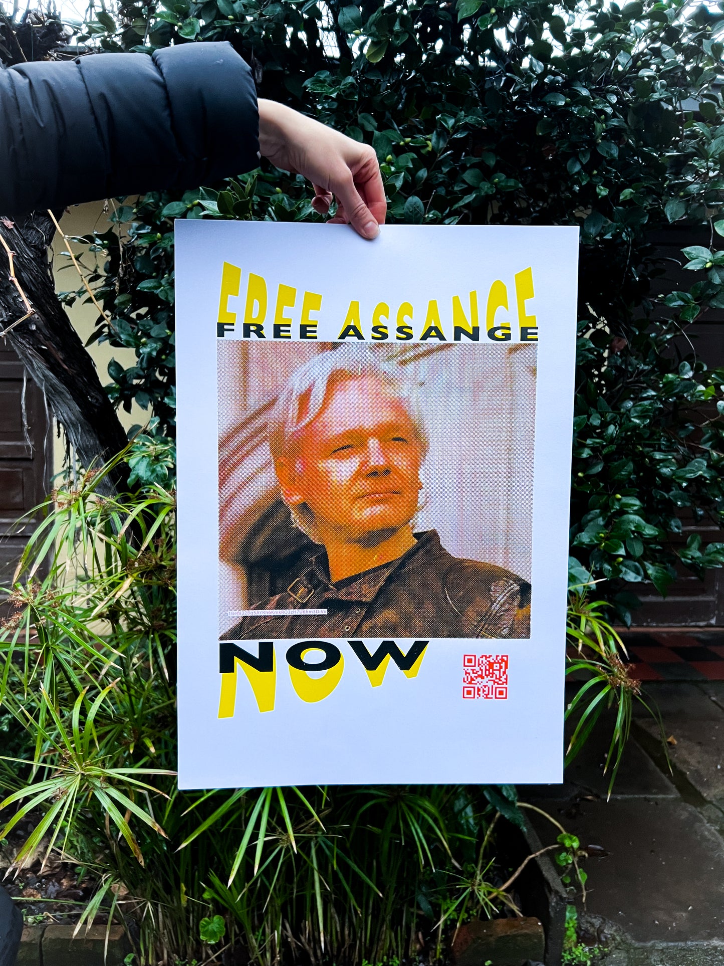FREE ASSANGE NOW